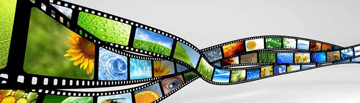 Film and Digital Media